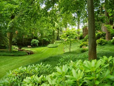 Photos by Spring Woods Landscaping LLC #1