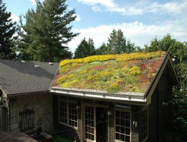 Photos by Atlas Roofing & Restoration #1