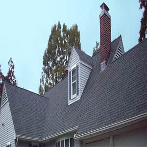 Busy Bee Roofing