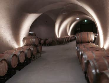 L"Aventure Winery Cave Project
