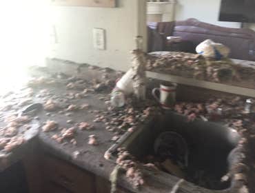 Photos by Dixon Services Inc #1 Grease fire