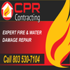 Carolina Professional Repair logo