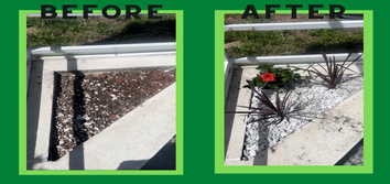 Installing Plants & A Rock Bed