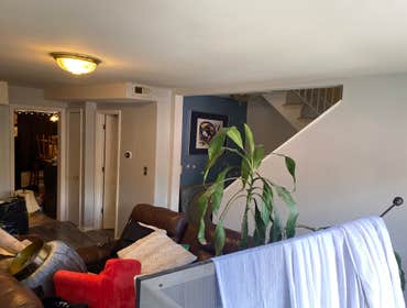 Photos by Palomino Home Improvement #1