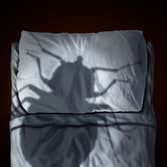 Pest Busters Omaha