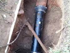 Photos by Juan Sandoval Plumbing & Irrigation #2 sewer repair and tree root extracted
