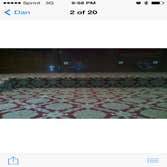First pics intricate pattern