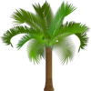 pastrano's Landscaping logo