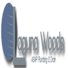 Laguna ASAP Plumbing & Drain logo