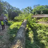 H&e Tree Service & Landscaping