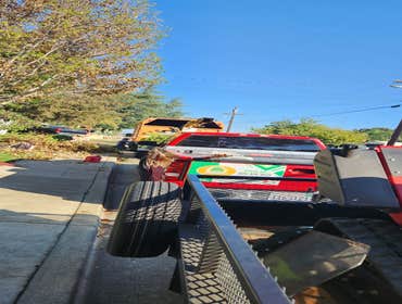 Photos by Pro M Tree Service #25