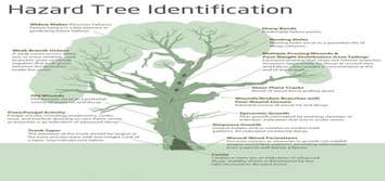 Tree Releaf