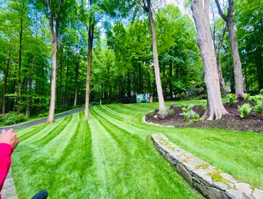 Photos by Diaz Tree Service & Landscaping LLC #11