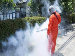 Photos by Pest Control Pros #1
