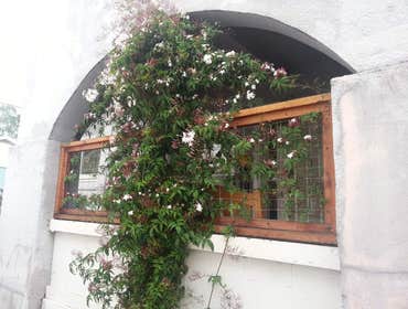 Creative carpentry