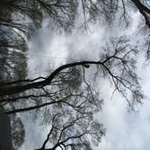 Utilizing a crane to remove a rotten tree in Ridgewood NJ