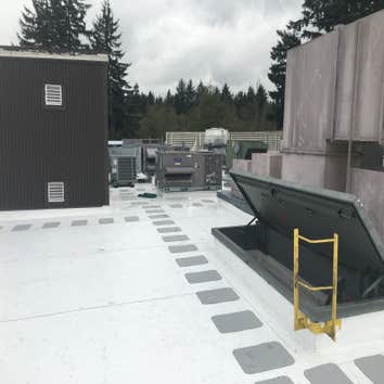 Flat Roof