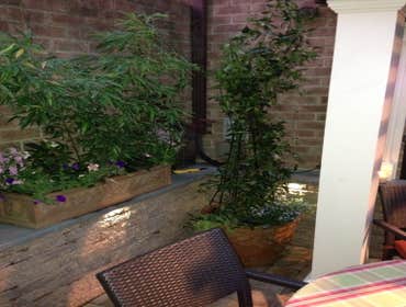 Area 51 Lawncare & Landscaping Project