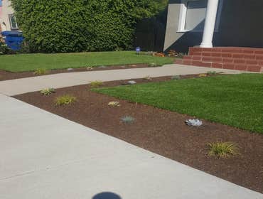 Landscaping Projects