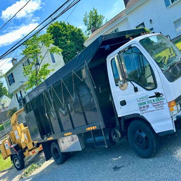 Photos by E. Sanchez Tree Services #1