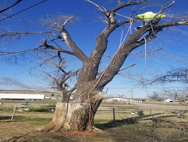 Photos by K&r Tree Service LLC #1