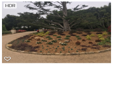 Photos by Foothill Nursery & Landscape Inc #1