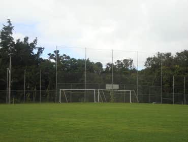 Chainlink Fence