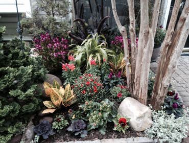 Photos from Donnas Garden Creations
