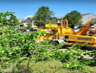 Photos by A&m Tree Services LLC #1