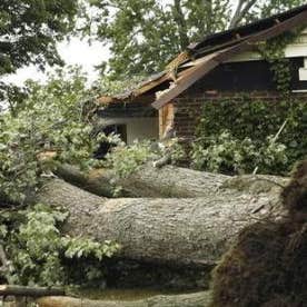 Belfor Property Restoration