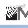 MPX Construction Inc logo