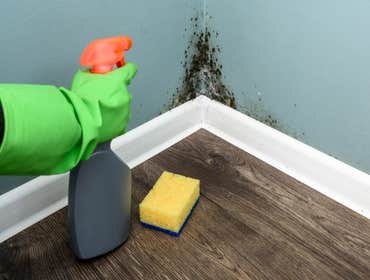 Photos by Saniclean Pros #1