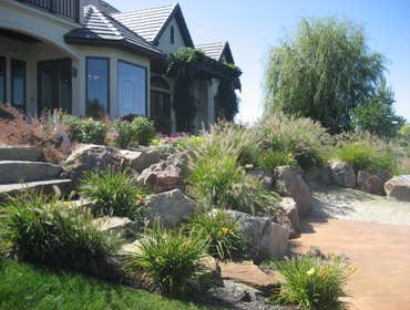 Photos from Natural Lawns and Landscape