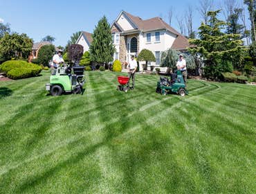 Photos by Sedona Agave Landscaping LLC #1