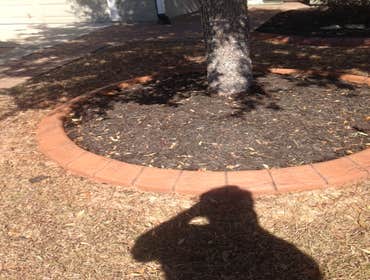 Photos from Coastal Curbing