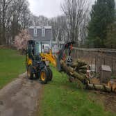 Brooke Tree Co