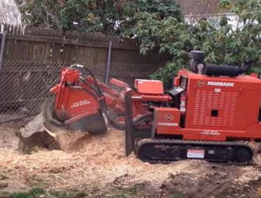 Photos by Superior Stump Grinding #1