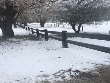 Fences
