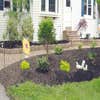 Diginto Landscaping LLC logo