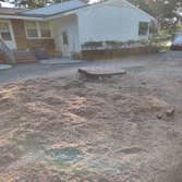 Photos by Scott's Stump Grinding and Tree Service #1