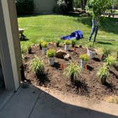 Photos by Capetillo Landscaping LLC #4