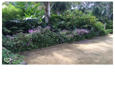 Photos by Foothill Nursery & Landscape Inc #1