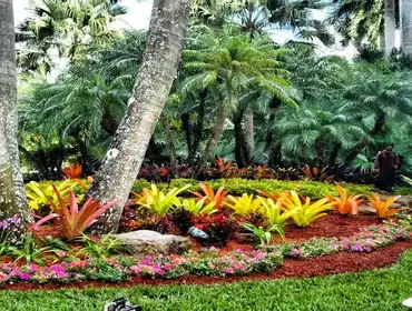 Photos by Citywide Lawn Service, LLC #4