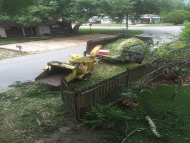 Photos by Flynn's Tree Pros #1