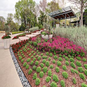 Photos by Agripro Landscape Management #1