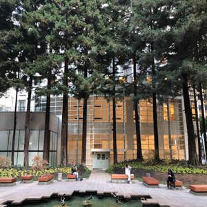Transamerica WinterGarden, San Francisco
