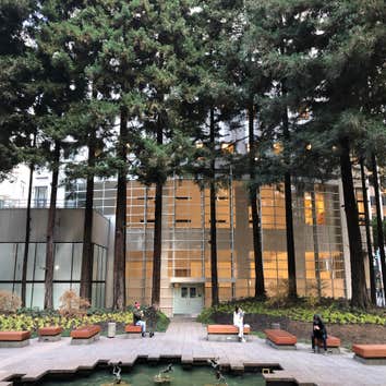 Transamerica WinterGarden, San Francisco
