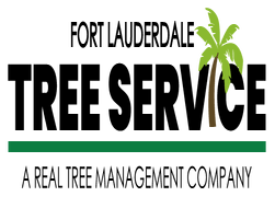 Photos by Fort Lauderdale Tree Service #1