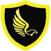Nighthawk Security logo