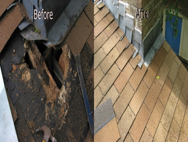 Austin, TX. 787## 1) Animal damage repair
2) Sky light repair
2) wind damage repair
3) round skylight repair
4) Animal damage repair